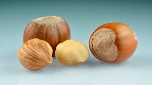 Hazelnut shot
